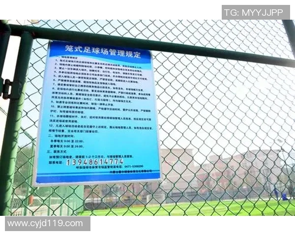 南京足球队运营新模式探讨与发展前景分析